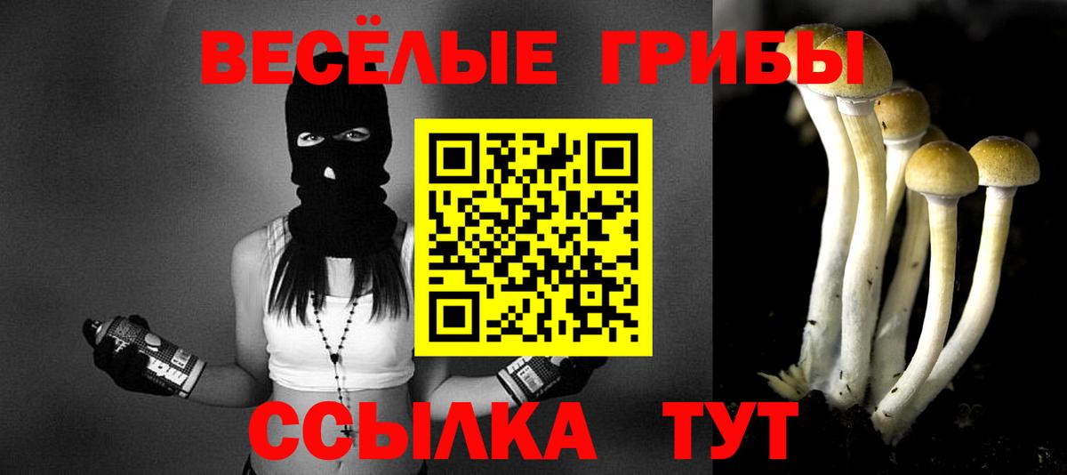 Сургут  Галлюциногенные грибы прущие грибы  Вход с VPN 